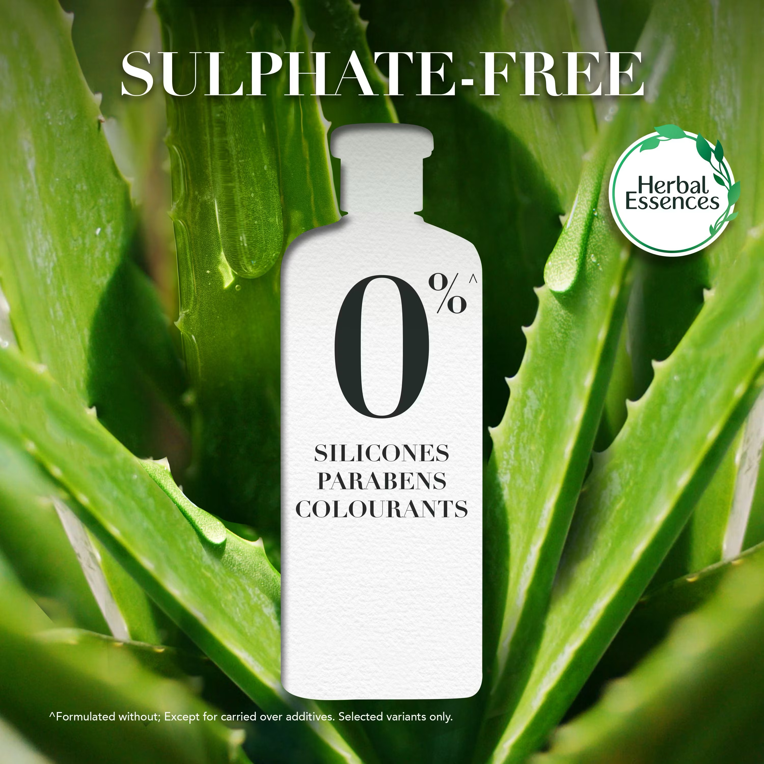 The HERBAL ESSENCES Aloe & Manuka Honey Conditioner image 3