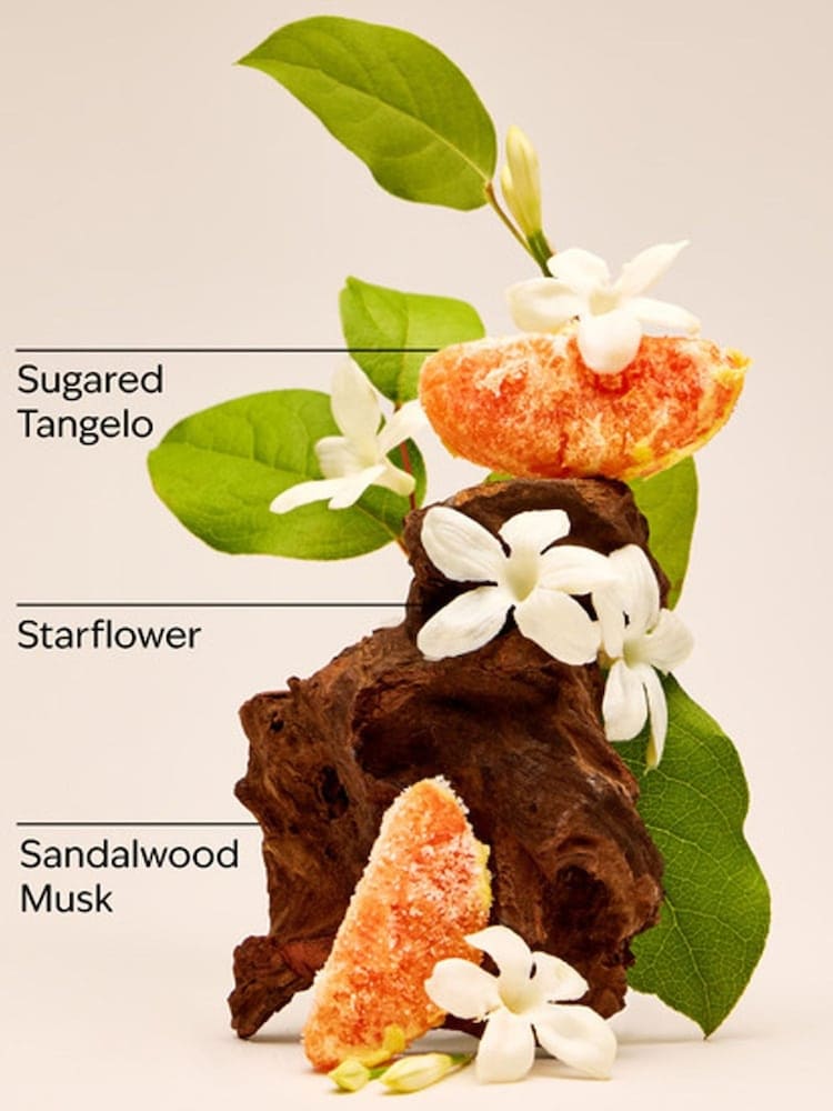 Bath & Body Works In The Stars Fine Fragrance Mist image 2